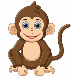Media Image
