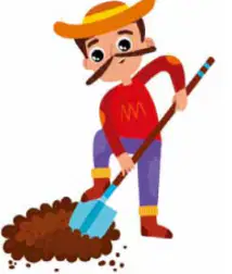 media image