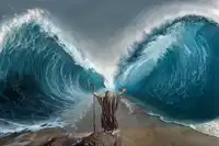 media