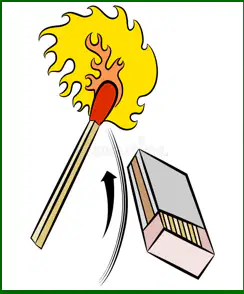 Media Image