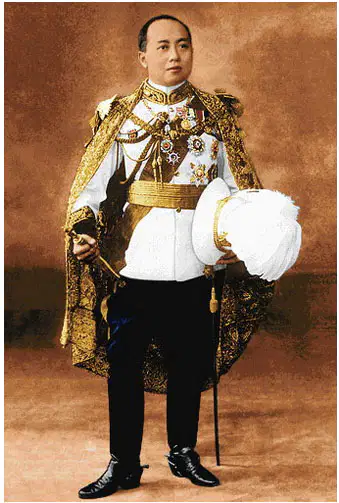Media Image