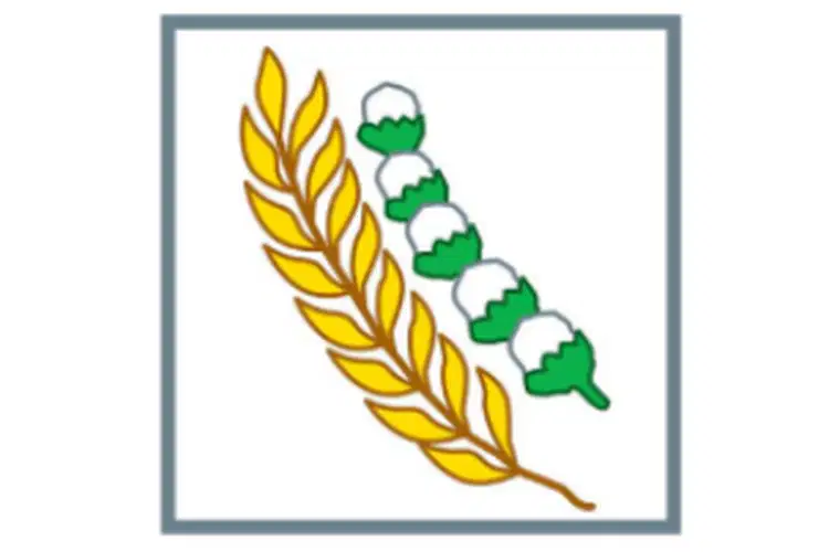 Media Image