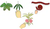 Media Image