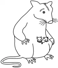 Media Image