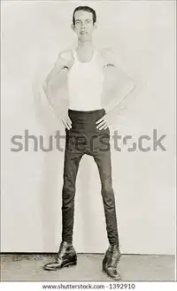 Media Image