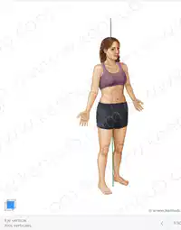 Media Image