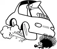 Media Image