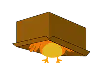 Media Image