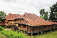 Media Image