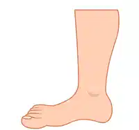 Media Image