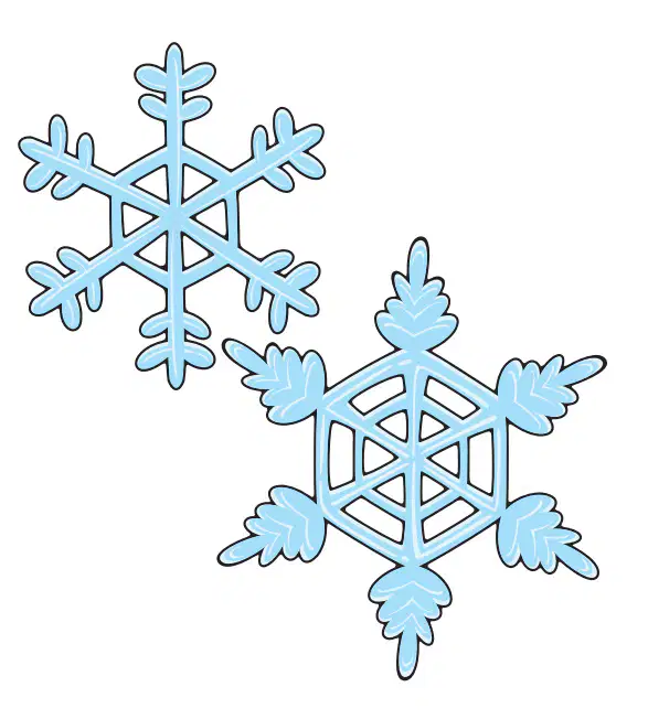 Media Image