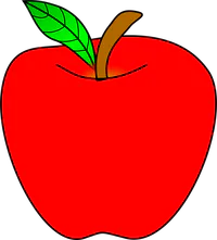 Media Image