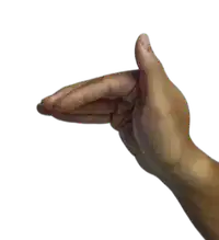 Media Image