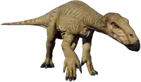 Media Image