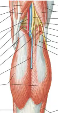 Media Image