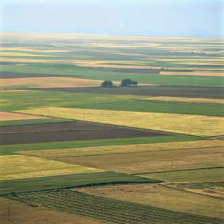 media image