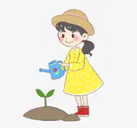 Media Image