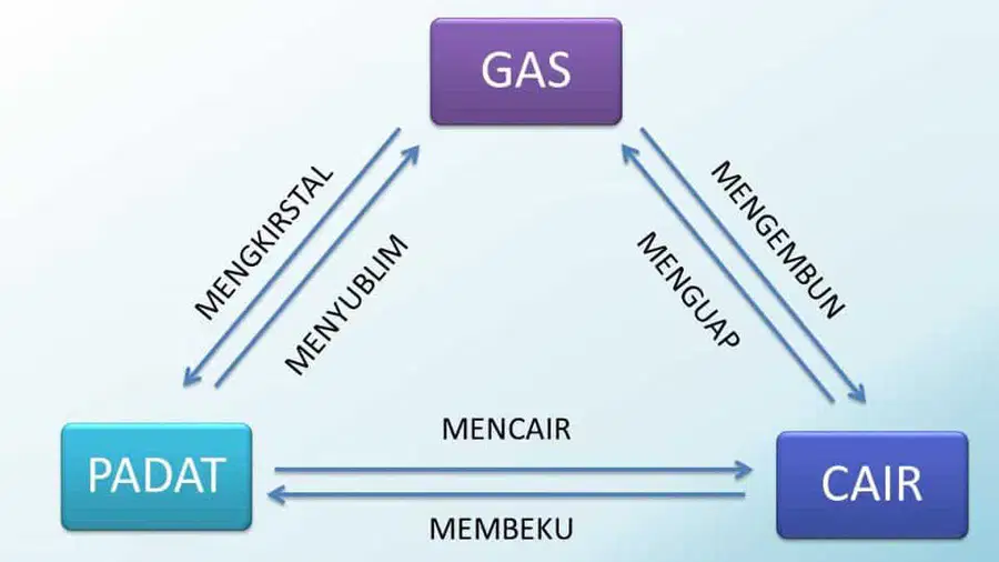 media