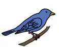 media image