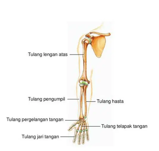 Media Image
