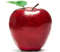 Media Image