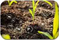 Media Image