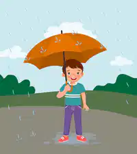media