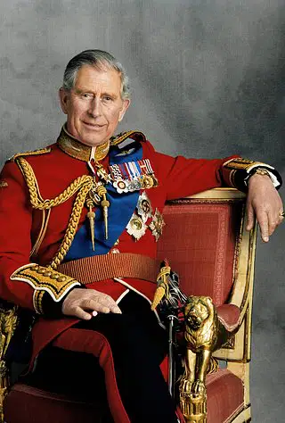 Media Image