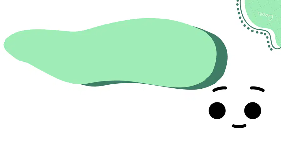 media