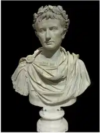 Media Image