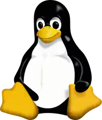 Media Image