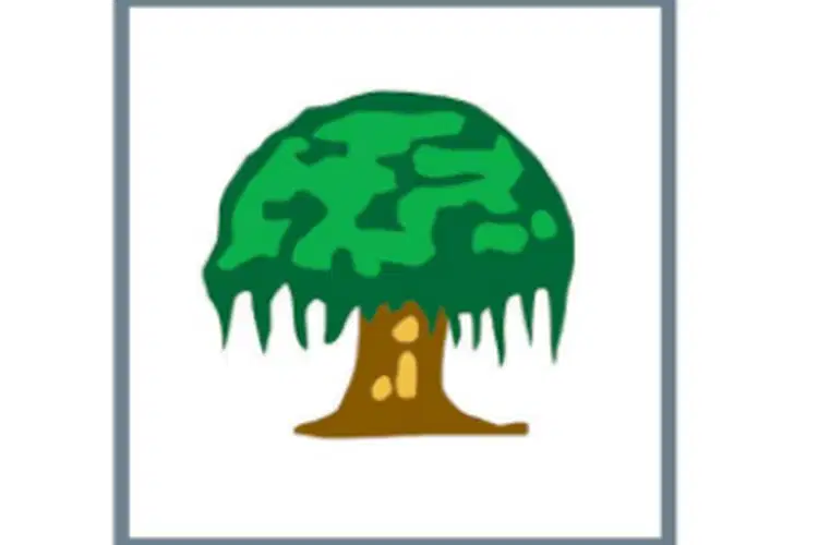 Media Image