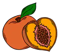 Media Image