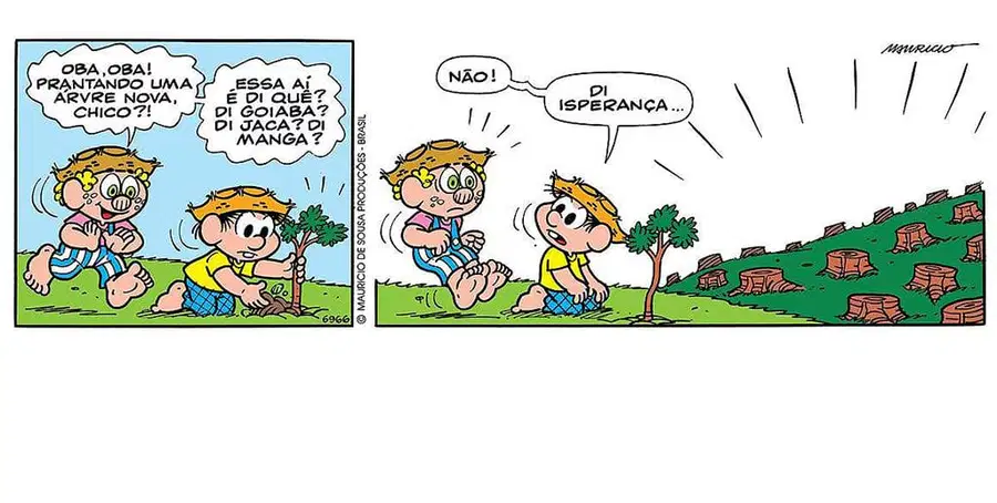 media