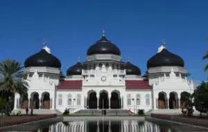 Media Image
