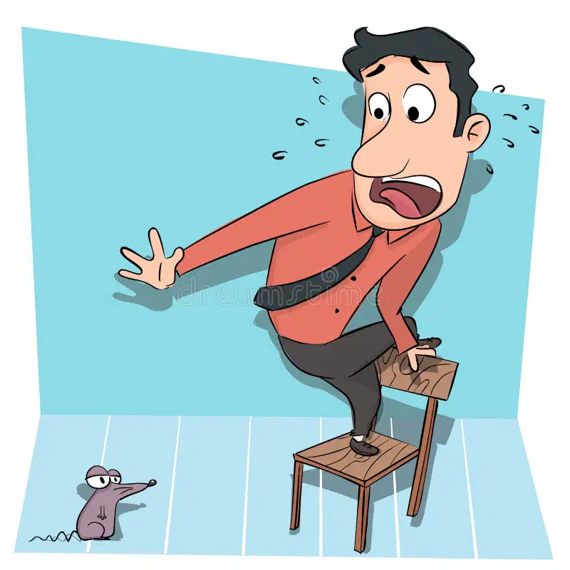 media image