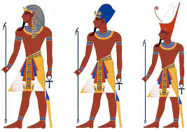 Media Image