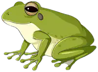 Media Image