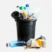 Media Image