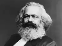 Media Image