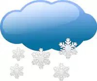 Media Image