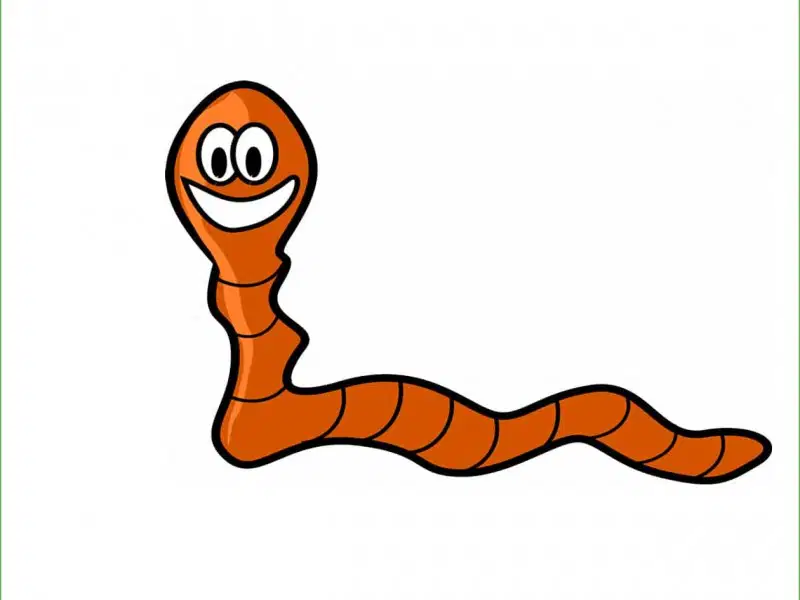 Media Image