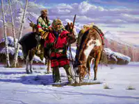 Media Image