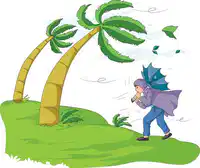 Media Image
