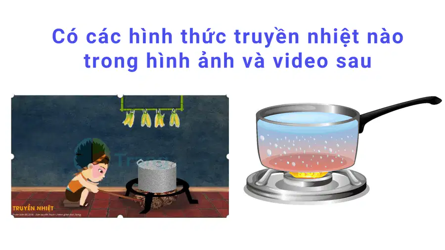 media