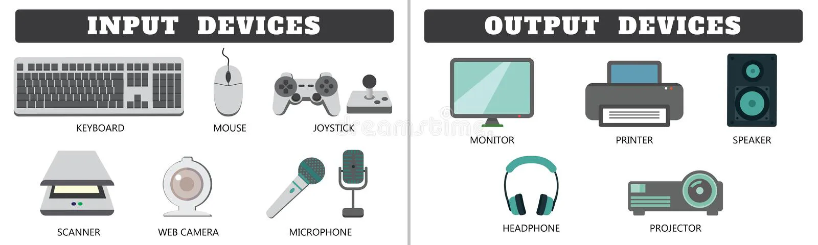 Input and Output Device Quiz