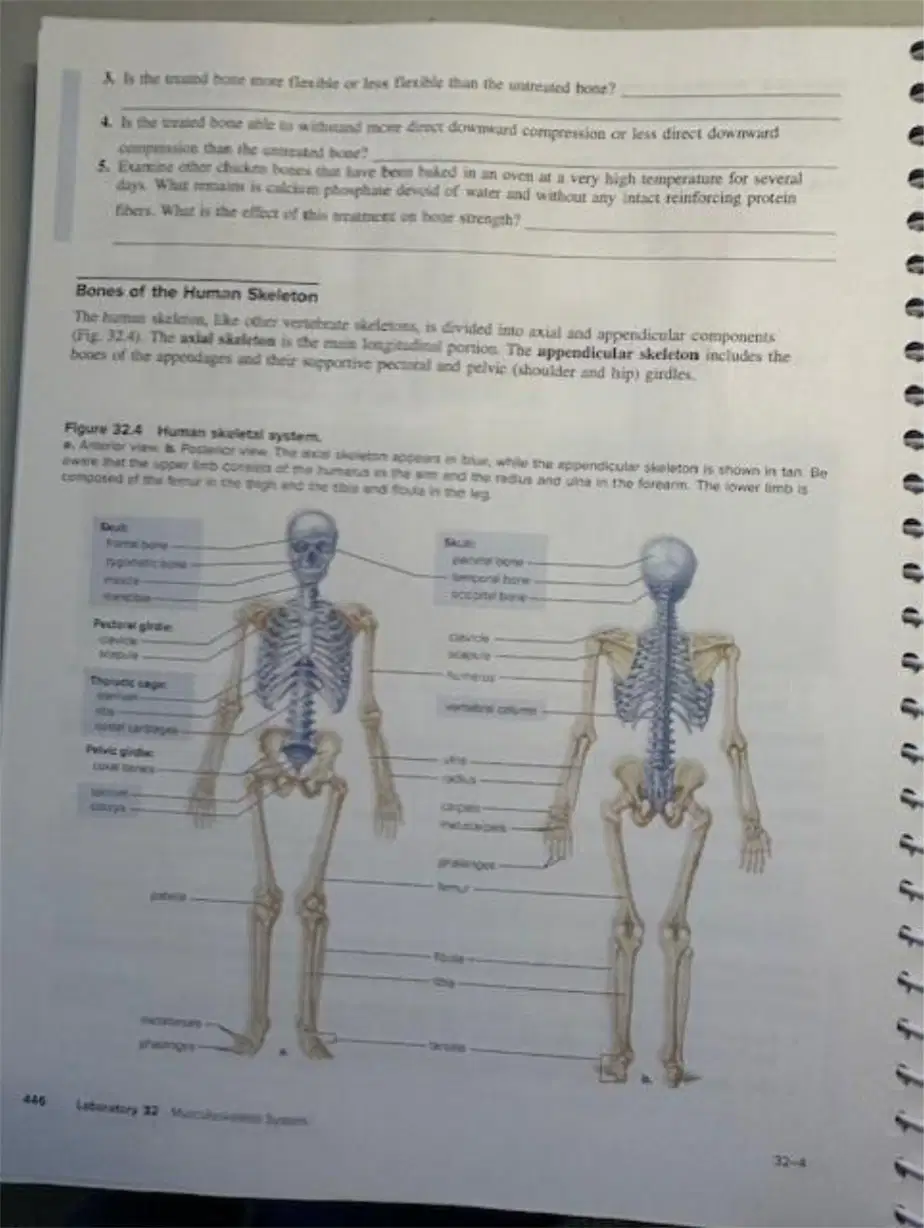 Question Image