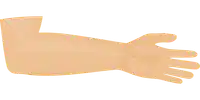 Media Image
