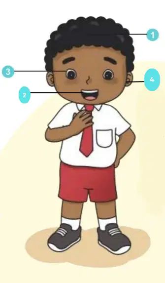 Question Image