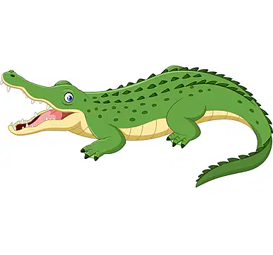 Media Image